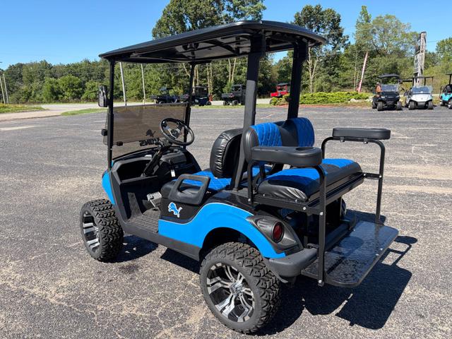 Used 2021 YAMAHA DRIVE 2 LIONS EDITION golf cart for sale in Rockford, MI, photo 3