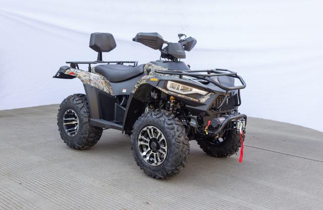 Terminator 300 EFI atv, available to order in Rockford, MI, photo 3