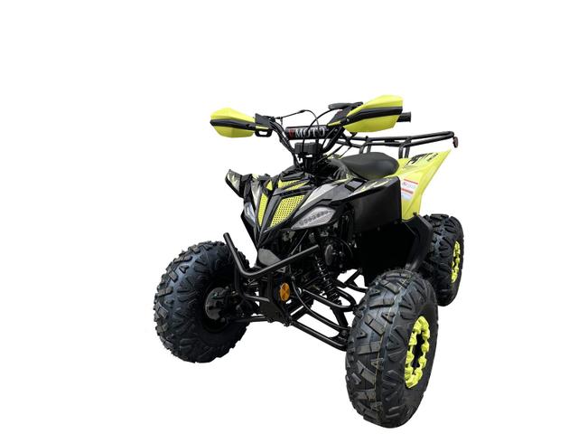Racer 110cc youth atv, available to order in Rockford, MI