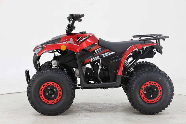 Panther 125cc atv, available to order in Rockford, MI, photo 1