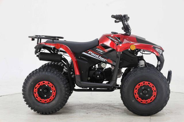 Panther 125cc atv, available to order in Rockford, MI, photo 4