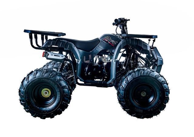 Rider 10 - 125cc youth atv, available to order in Rockford, MI