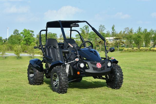 Venture 200 EFI, available to order in Rockford, MI, photo 3