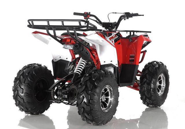 Commander DLX 125cc youth atv, available to order in Rockford, MI