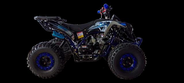 MAX 125cc youth atv, available to order in Rockford, MI