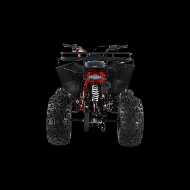 Sportrax 110cc youth atv, available to order in Rockford, MI, photo 2