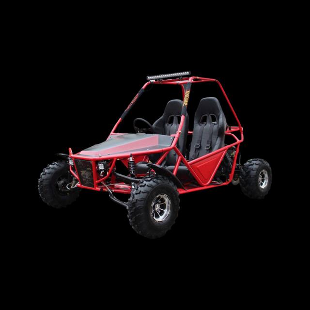 Batman 200cc, available to order in Rockford, MI, photo 1