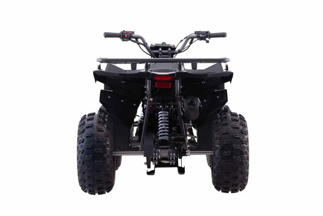Pentora Iride 125cc youth atv, available to order in Rockford, MI, photo 2