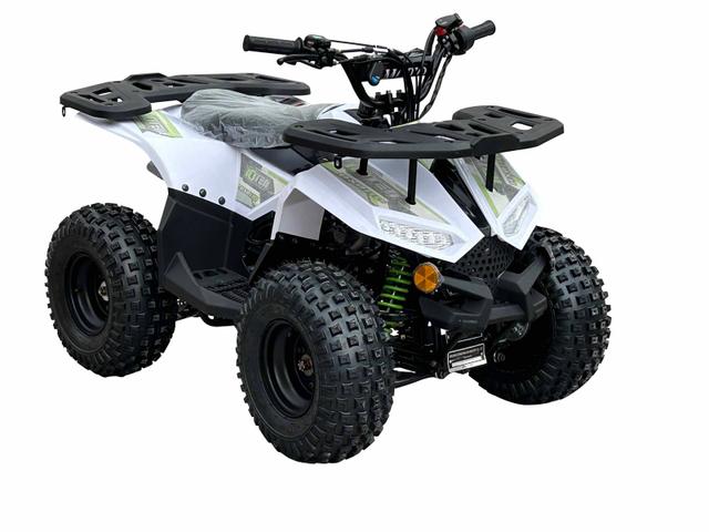 RXR 110cc youth atv, available to order in Rockford, MI, photo 4