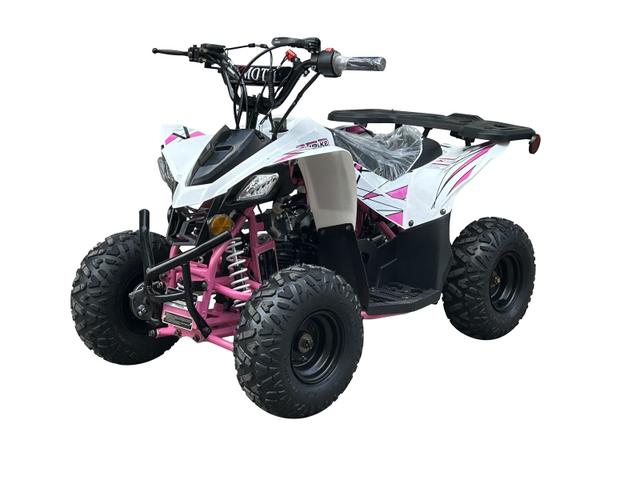 Shrike 110cc youth atv, available to order in Rockford, MI