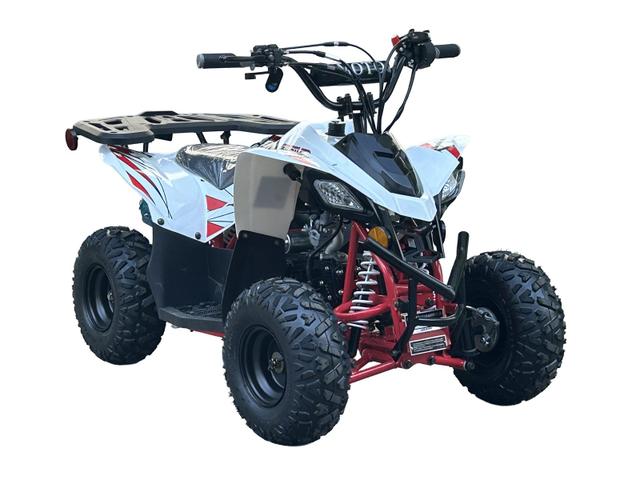 Shrike 110cc youth atv, available to order in Rockford, MI, photo 3