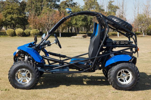 Jag 200 EFI, available to order in Rockford, MI, photo 2