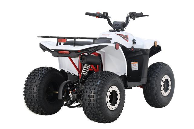 Panther 125 EFI youth atv, available to order in Rockford, MI, photo 4