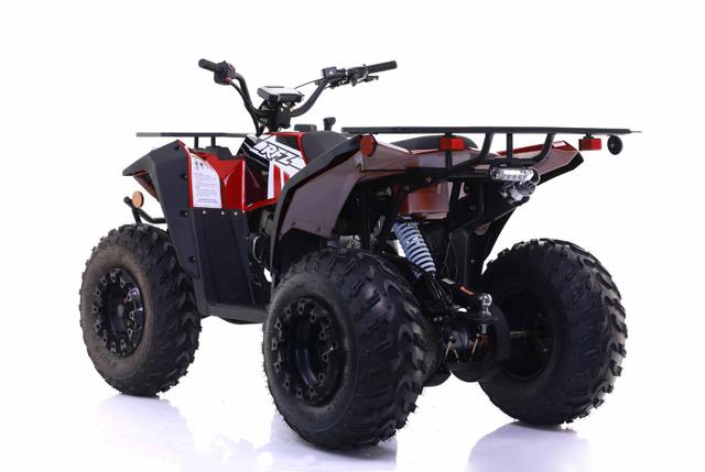 Commander 200cc EFI atv, available to order in Rockford, MI, photo 3