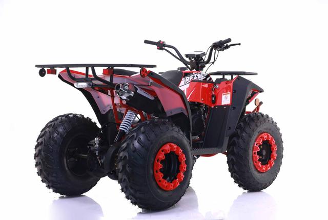 Commander 200cc EFI atv, available to order in Rockford, MI, photo 2