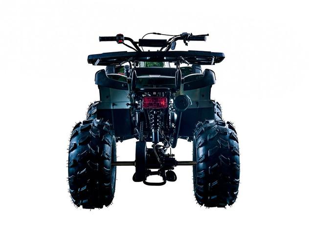 Rider 10 - 125 youth atv, available to order in Rockford, MI, photo 2