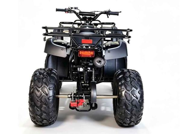 Cougar UT 200cc atv, available to order in Rockford, MI, photo 3
