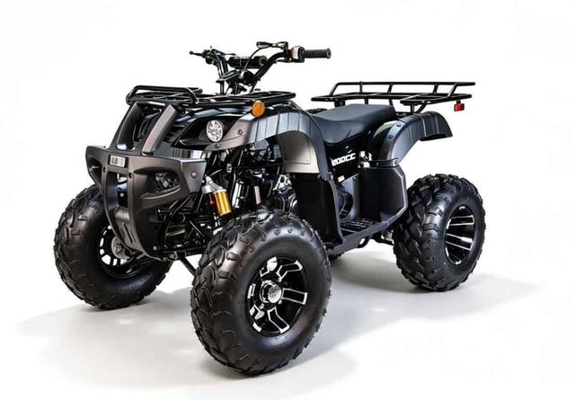Cougar UT 200cc atv, available to order in Rockford, MI, photo 4