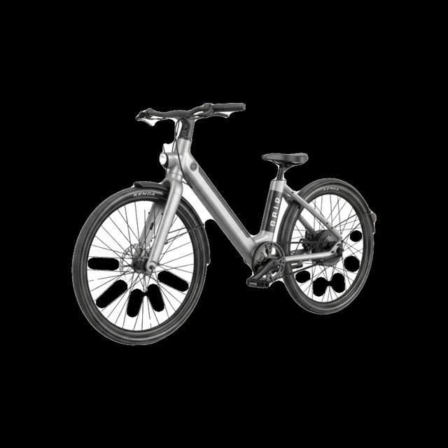 Birdbike V-frame ebike, available to order in Rockford, MI, photo 1