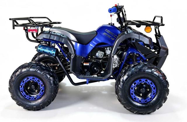 Rider 12 - 125 youth atv, available to order in Rockford, MI
