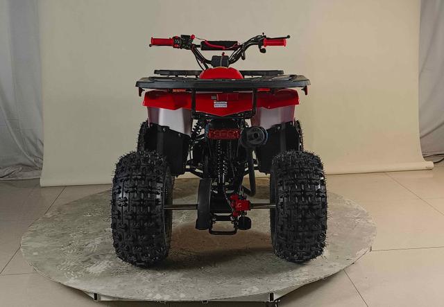 Phantom 125cc youth atv, available to order in Rockford, MI