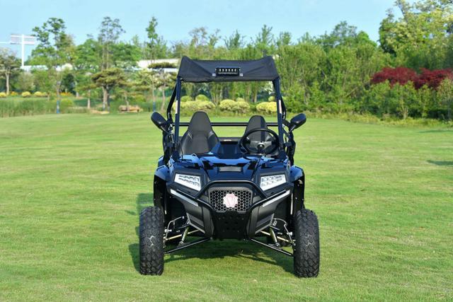 Blade 200 EFI side by side, available to order in Rockford, MI, photo 1