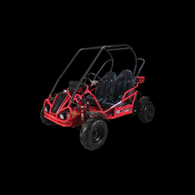 GO-Magnum 125cc, available to order in Rockford, MI, photo 1