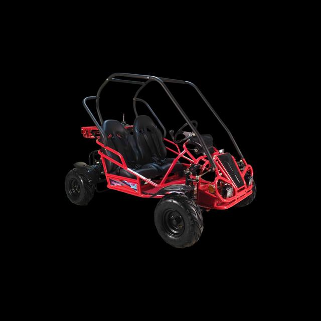 GO-Magnum 125cc, available to order in Rockford, MI, photo 4