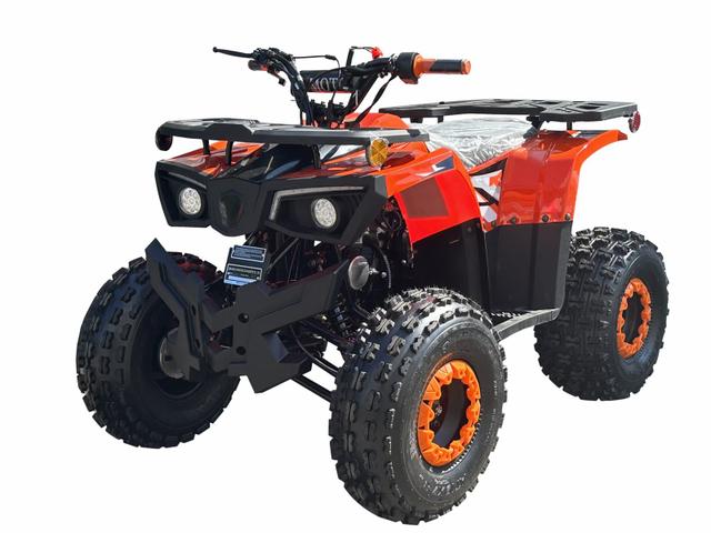 Phantom 125cc youth atv, available to order in Rockford, MI