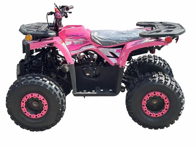 Phantom 125cc youth atv, available to order in Rockford, MI, photo 4